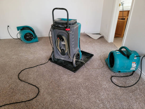 Best 24-hour water damage restoration  in Corning, CA