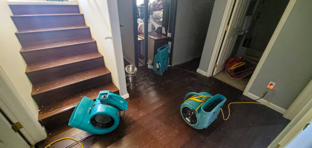 Best Basement water damage restoration  in Corning, CA