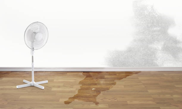 Best Residential water damage restoration  in Corning, CA