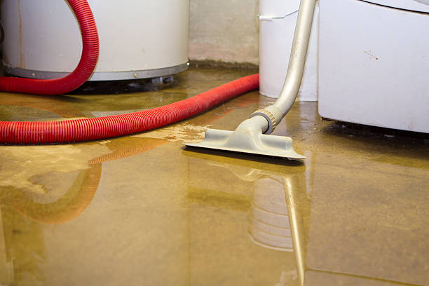 Best Water damage restoration services  in Corning, CA